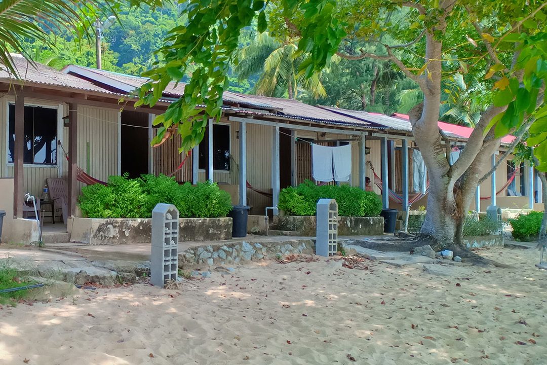 coral reef tioman