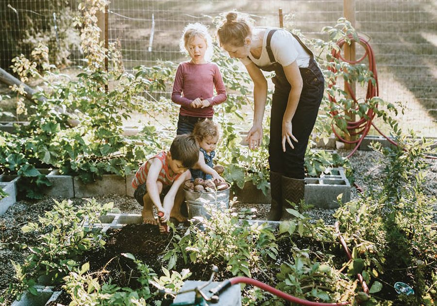 family garden