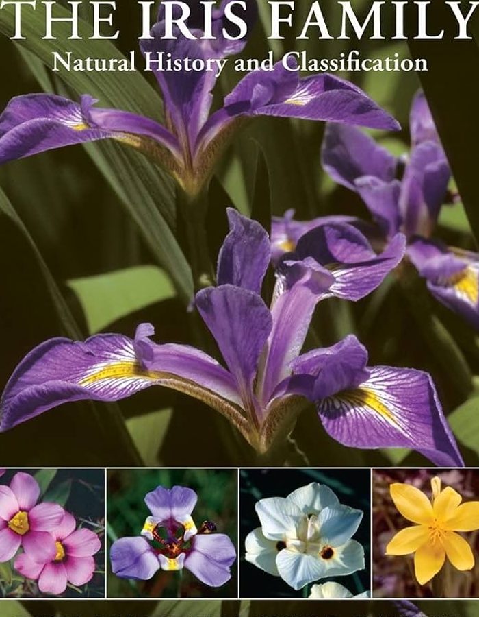 iris family trading