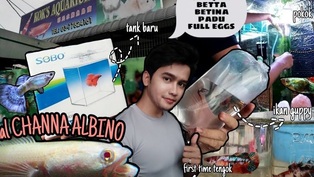 kedai keluarga terbaik di kampung kok