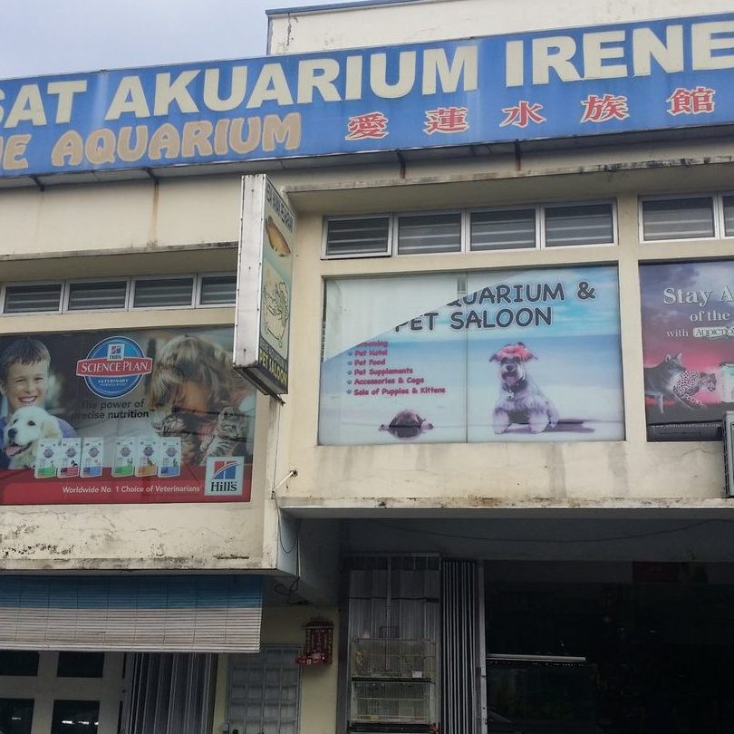 kedai keluarga terbaik di telaga batu