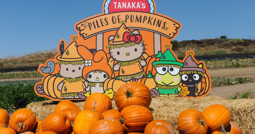 kittys familyfarm