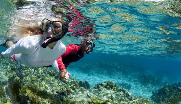 tioman dadini snorkeling