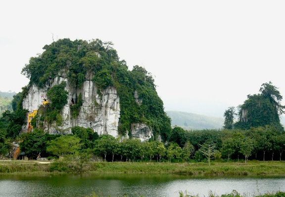 ushop gua musang