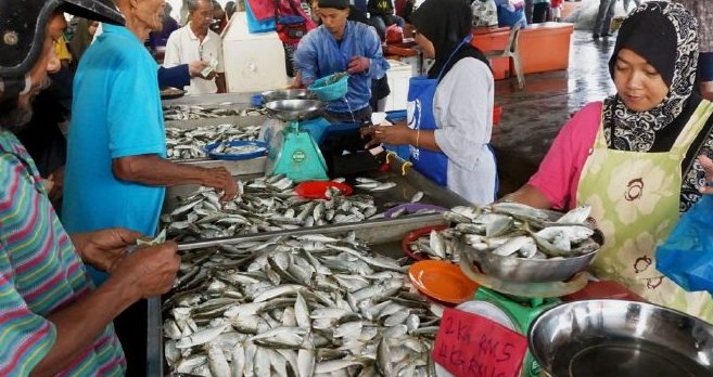 zamidi family pemborong ikan kuala kedah